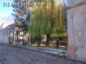 [P03] Turnul Bărăției, Câmpulung Muscel, salcia și bradul (salcia în jos, bradul în sus, ea plânge, ca și-n viață) » foto by Mioritik
 - 
<span class="allrVoted glyphicon glyphicon-heart hidden" id="av1266731"></span>
<a class="m-l-10 hidden" id="sv1266731" onclick="voting_Foto_DelVot(,1266731,21248)" role="button">șterge vot <span class="glyphicon glyphicon-remove"></span></a>
<a id="v91266731" class=" c-red"  onclick="voting_Foto_SetVot(1266731)" role="button"><span class="glyphicon glyphicon-heart-empty"></span> <b>LIKE</b> = Votează poza</a> <img class="hidden"  id="f1266731W9" src="/imagini/loader.gif" border="0" /><span class="AjErrMes hidden" id="e1266731ErM"></span>