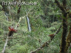 [P06] printre copaci si plante exotice se intrezareste o cascada incredibila » foto by buterfly*
 - 
<span class="allrVoted glyphicon glyphicon-heart hidden" id="av828776"></span>
<a class="m-l-10 hidden" id="sv828776" onclick="voting_Foto_DelVot(,828776,21292)" role="button">șterge vot <span class="glyphicon glyphicon-remove"></span></a>
<a id="v9828776" class=" c-red"  onclick="voting_Foto_SetVot(828776)" role="button"><span class="glyphicon glyphicon-heart-empty"></span> <b>LIKE</b> = Votează poza</a> <img class="hidden"  id="f828776W9" src="/imagini/loader.gif" border="0" /><span class="AjErrMes hidden" id="e828776ErM"></span>