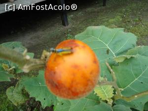 [P21] rosie salbatica in fata casutei » foto by buterfly*
 - 
<span class="allrVoted glyphicon glyphicon-heart hidden" id="av829188"></span>
<a class="m-l-10 hidden" id="sv829188" onclick="voting_Foto_DelVot(,829188,21292)" role="button">șterge vot <span class="glyphicon glyphicon-remove"></span></a>
<a id="v9829188" class=" c-red"  onclick="voting_Foto_SetVot(829188)" role="button"><span class="glyphicon glyphicon-heart-empty"></span> <b>LIKE</b> = Votează poza</a> <img class="hidden"  id="f829188W9" src="/imagini/loader.gif" border="0" /><span class="AjErrMes hidden" id="e829188ErM"></span>