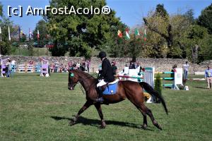 [P17] Karpatia Horse Show 2016 - adrenalină și eleganță pe domeniul Cantacuzino.  » foto by andreieu
 - 
<span class="allrVoted glyphicon glyphicon-heart hidden" id="av814692"></span>
<a class="m-l-10 hidden" id="sv814692" onclick="voting_Foto_DelVot(,814692,21298)" role="button">șterge vot <span class="glyphicon glyphicon-remove"></span></a>
<a id="v9814692" class=" c-red"  onclick="voting_Foto_SetVot(814692)" role="button"><span class="glyphicon glyphicon-heart-empty"></span> <b>LIKE</b> = Votează poza</a> <img class="hidden"  id="f814692W9" src="/imagini/loader.gif" border="0" /><span class="AjErrMes hidden" id="e814692ErM"></span>