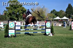 [P18] Karpatia Horse Show 2016 - adrenalină și eleganță pe domeniul Cantacuzino.  » foto by andreieu
 - 
<span class="allrVoted glyphicon glyphicon-heart hidden" id="av814693"></span>
<a class="m-l-10 hidden" id="sv814693" onclick="voting_Foto_DelVot(,814693,21298)" role="button">șterge vot <span class="glyphicon glyphicon-remove"></span></a>
<a id="v9814693" class=" c-red"  onclick="voting_Foto_SetVot(814693)" role="button"><span class="glyphicon glyphicon-heart-empty"></span> <b>LIKE</b> = Votează poza</a> <img class="hidden"  id="f814693W9" src="/imagini/loader.gif" border="0" /><span class="AjErrMes hidden" id="e814693ErM"></span>