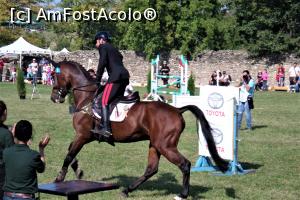 [P23] Karpatia Horse Show 2016 - adrenalină și eleganță pe domeniul Cantacuzino.  » foto by andreieu
 - 
<span class="allrVoted glyphicon glyphicon-heart hidden" id="av814698"></span>
<a class="m-l-10 hidden" id="sv814698" onclick="voting_Foto_DelVot(,814698,21298)" role="button">șterge vot <span class="glyphicon glyphicon-remove"></span></a>
<a id="v9814698" class=" c-red"  onclick="voting_Foto_SetVot(814698)" role="button"><span class="glyphicon glyphicon-heart-empty"></span> <b>LIKE</b> = Votează poza</a> <img class="hidden"  id="f814698W9" src="/imagini/loader.gif" border="0" /><span class="AjErrMes hidden" id="e814698ErM"></span>