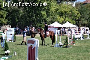 [P25] Karpatia Horse Show 2016 - adrenalină și eleganță pe domeniul Cantacuzino.  » foto by andreieu
 - 
<span class="allrVoted glyphicon glyphicon-heart hidden" id="av814700"></span>
<a class="m-l-10 hidden" id="sv814700" onclick="voting_Foto_DelVot(,814700,21298)" role="button">șterge vot <span class="glyphicon glyphicon-remove"></span></a>
<a id="v9814700" class=" c-red"  onclick="voting_Foto_SetVot(814700)" role="button"><span class="glyphicon glyphicon-heart-empty"></span> <b>LIKE</b> = Votează poza</a> <img class="hidden"  id="f814700W9" src="/imagini/loader.gif" border="0" /><span class="AjErrMes hidden" id="e814700ErM"></span>