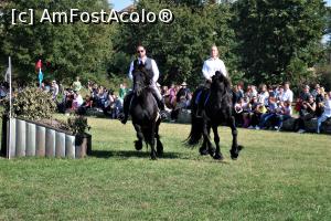 [P26] Karpatia Horse Show 2016 - adrenalină și eleganță pe domeniul Cantacuzino.  » foto by andreieu
 - 
<span class="allrVoted glyphicon glyphicon-heart hidden" id="av814701"></span>
<a class="m-l-10 hidden" id="sv814701" onclick="voting_Foto_DelVot(,814701,21298)" role="button">șterge vot <span class="glyphicon glyphicon-remove"></span></a>
<a id="v9814701" class=" c-red"  onclick="voting_Foto_SetVot(814701)" role="button"><span class="glyphicon glyphicon-heart-empty"></span> <b>LIKE</b> = Votează poza</a> <img class="hidden"  id="f814701W9" src="/imagini/loader.gif" border="0" /><span class="AjErrMes hidden" id="e814701ErM"></span>