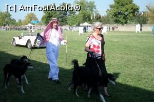 [P32] Karpatia Horse Show 2016 - adrenalină și eleganță pe domeniul Cantacuzino.  » foto by andreieu
 - 
<span class="allrVoted glyphicon glyphicon-heart hidden" id="av814707"></span>
<a class="m-l-10 hidden" id="sv814707" onclick="voting_Foto_DelVot(,814707,21298)" role="button">șterge vot <span class="glyphicon glyphicon-remove"></span></a>
<a id="v9814707" class=" c-red"  onclick="voting_Foto_SetVot(814707)" role="button"><span class="glyphicon glyphicon-heart-empty"></span> <b>LIKE</b> = Votează poza</a> <img class="hidden"  id="f814707W9" src="/imagini/loader.gif" border="0" /><span class="AjErrMes hidden" id="e814707ErM"></span>