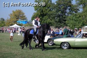 [P36] Karpatia Horse Show 2016 - adrenalină și eleganță pe domeniul Cantacuzino.  » foto by andreieu
 - 
<span class="allrVoted glyphicon glyphicon-heart hidden" id="av814711"></span>
<a class="m-l-10 hidden" id="sv814711" onclick="voting_Foto_DelVot(,814711,21298)" role="button">șterge vot <span class="glyphicon glyphicon-remove"></span></a>
<a id="v9814711" class=" c-red"  onclick="voting_Foto_SetVot(814711)" role="button"><span class="glyphicon glyphicon-heart-empty"></span> <b>LIKE</b> = Votează poza</a> <img class="hidden"  id="f814711W9" src="/imagini/loader.gif" border="0" /><span class="AjErrMes hidden" id="e814711ErM"></span>