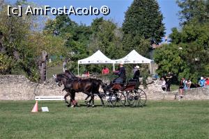 [P37] Karpatia Horse Show 2016 - adrenalină și eleganță pe domeniul Cantacuzino.  » foto by andreieu
 - 
<span class="allrVoted glyphicon glyphicon-heart hidden" id="av814712"></span>
<a class="m-l-10 hidden" id="sv814712" onclick="voting_Foto_DelVot(,814712,21298)" role="button">șterge vot <span class="glyphicon glyphicon-remove"></span></a>
<a id="v9814712" class=" c-red"  onclick="voting_Foto_SetVot(814712)" role="button"><span class="glyphicon glyphicon-heart-empty"></span> <b>LIKE</b> = Votează poza</a> <img class="hidden"  id="f814712W9" src="/imagini/loader.gif" border="0" /><span class="AjErrMes hidden" id="e814712ErM"></span>