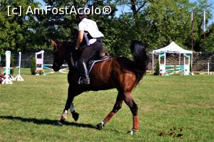 [P04] Karpatia Horse Show 2016 - adrenalină și eleganță pe domeniul Cantacuzino.  » foto by andreieu
 - 
<span class="allrVoted glyphicon glyphicon-heart hidden" id="av814679"></span>
<a class="m-l-10 hidden" id="sv814679" onclick="voting_Foto_DelVot(,814679,21298)" role="button">șterge vot <span class="glyphicon glyphicon-remove"></span></a>
<a id="v9814679" class=" c-red"  onclick="voting_Foto_SetVot(814679)" role="button"><span class="glyphicon glyphicon-heart-empty"></span> <b>LIKE</b> = Votează poza</a> <img class="hidden"  id="f814679W9" src="/imagini/loader.gif" border="0" /><span class="AjErrMes hidden" id="e814679ErM"></span>