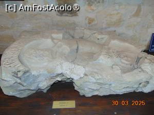 [P34] Cetatea de Scaun a Sucevei, lapidarium » foto by Yolanda
 - 
<span class="allrVoted glyphicon glyphicon-heart hidden" id="av1480896"></span>
<a class="m-l-10 hidden" id="sv1480896" onclick="voting_Foto_DelVot(,1480896,21314)" role="button">șterge vot <span class="glyphicon glyphicon-remove"></span></a>
<a id="v91480896" class=" c-red"  onclick="voting_Foto_SetVot(1480896)" role="button"><span class="glyphicon glyphicon-heart-empty"></span> <b>LIKE</b> = Votează poza</a> <img class="hidden"  id="f1480896W9" src="/imagini/loader.gif" border="0" /><span class="AjErrMes hidden" id="e1480896ErM"></span>