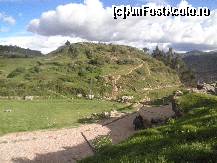 [P08] la marginea sitului » foto by grecudoina
 - 
<span class="allrVoted glyphicon glyphicon-heart hidden" id="av399727"></span>
<a class="m-l-10 hidden" id="sv399727" onclick="voting_Foto_DelVot(,399727,21384)" role="button">șterge vot <span class="glyphicon glyphicon-remove"></span></a>
<a id="v9399727" class=" c-red"  onclick="voting_Foto_SetVot(399727)" role="button"><span class="glyphicon glyphicon-heart-empty"></span> <b>LIKE</b> = Votează poza</a> <img class="hidden"  id="f399727W9" src="/imagini/loader.gif" border="0" /><span class="AjErrMes hidden" id="e399727ErM"></span>
