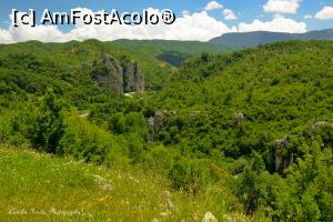 [P129] Pind, Pindou, Pindus.  » foto by Vlahos2003
 - 
<span class="allrVoted glyphicon glyphicon-heart hidden" id="av713716"></span>
<a class="m-l-10 hidden" id="sv713716" onclick="voting_Foto_DelVot(,713716,21484)" role="button">șterge vot <span class="glyphicon glyphicon-remove"></span></a>
<a id="v9713716" class=" c-red"  onclick="voting_Foto_SetVot(713716)" role="button"><span class="glyphicon glyphicon-heart-empty"></span> <b>LIKE</b> = Votează poza</a> <img class="hidden"  id="f713716W9" src="/imagini/loader.gif" border="0" /><span class="AjErrMes hidden" id="e713716ErM"></span>