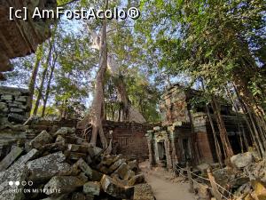 [P14] Ta Prohm » foto by Pușcașu Marin
 - 
<span class="allrVoted glyphicon glyphicon-heart hidden" id="av1385783"></span>
<a class="m-l-10 hidden" id="sv1385783" onclick="voting_Foto_DelVot(,1385783,21517)" role="button">șterge vot <span class="glyphicon glyphicon-remove"></span></a>
<a id="v91385783" class=" c-red"  onclick="voting_Foto_SetVot(1385783)" role="button"><span class="glyphicon glyphicon-heart-empty"></span> <b>LIKE</b> = Votează poza</a> <img class="hidden"  id="f1385783W9" src="/imagini/loader.gif" border="0" /><span class="AjErrMes hidden" id="e1385783ErM"></span>