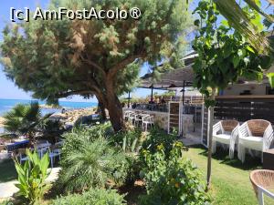[P59] Taverna Klapsinos ( Petres) » foto by ilee
 - 
<span class="allrVoted glyphicon glyphicon-heart hidden" id="av1535919"></span>
<a class="m-l-10 hidden" id="sv1535919" onclick="voting_Foto_DelVot(,1535919,21565)" role="button">șterge vot <span class="glyphicon glyphicon-remove"></span></a>
<a id="v91535919" class=" c-red"  onclick="voting_Foto_SetVot(1535919)" role="button"><span class="glyphicon glyphicon-heart-empty"></span> <b>LIKE</b> = Votează poza</a> <img class="hidden"  id="f1535919W9" src="/imagini/loader.gif" border="0" /><span class="AjErrMes hidden" id="e1535919ErM"></span>