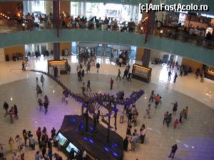 [P11] Dubai Mall » foto by monaserban
 - 
<span class="allrVoted glyphicon glyphicon-heart hidden" id="av506650"></span>
<a class="m-l-10 hidden" id="sv506650" onclick="voting_Foto_DelVot(,506650,21594)" role="button">șterge vot <span class="glyphicon glyphicon-remove"></span></a>
<a id="v9506650" class=" c-red"  onclick="voting_Foto_SetVot(506650)" role="button"><span class="glyphicon glyphicon-heart-empty"></span> <b>LIKE</b> = Votează poza</a> <img class="hidden"  id="f506650W9" src="/imagini/loader.gif" border="0" /><span class="AjErrMes hidden" id="e506650ErM"></span>