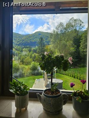 [P20] view din bucatarie » foto by Opelantara
 - 
<span class="allrVoted glyphicon glyphicon-heart hidden" id="av1544828"></span>
<a class="m-l-10 hidden" id="sv1544828" onclick="voting_Foto_DelVot(,1544828,21783)" role="button">șterge vot <span class="glyphicon glyphicon-remove"></span></a>
<a id="v91544828" class=" c-red"  onclick="voting_Foto_SetVot(1544828)" role="button"><span class="glyphicon glyphicon-heart-empty"></span> <b>LIKE</b> = Votează poza</a> <img class="hidden"  id="f1544828W9" src="/imagini/loader.gif" border="0" /><span class="AjErrMes hidden" id="e1544828ErM"></span>