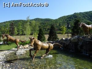 [P05] Parcul „Poiana lui Căliman” - lacul. » foto by tata123 🔱
 - 
<span class="allrVoted glyphicon glyphicon-heart hidden" id="av1187487"></span>
<a class="m-l-10 hidden" id="sv1187487" onclick="voting_Foto_DelVot(,1187487,22122)" role="button">șterge vot <span class="glyphicon glyphicon-remove"></span></a>
<a id="v91187487" class=" c-red"  onclick="voting_Foto_SetVot(1187487)" role="button"><span class="glyphicon glyphicon-heart-empty"></span> <b>LIKE</b> = Votează poza</a> <img class="hidden"  id="f1187487W9" src="/imagini/loader.gif" border="0" /><span class="AjErrMes hidden" id="e1187487ErM"></span>