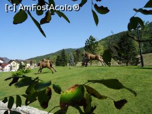 [P07] Parcul „Poiana lui Căliman”. » foto by tata123 🔱
 - 
<span class="allrVoted glyphicon glyphicon-heart hidden" id="av1187489"></span>
<a class="m-l-10 hidden" id="sv1187489" onclick="voting_Foto_DelVot(,1187489,22122)" role="button">șterge vot <span class="glyphicon glyphicon-remove"></span></a>
<a id="v91187489" class=" c-red"  onclick="voting_Foto_SetVot(1187489)" role="button"><span class="glyphicon glyphicon-heart-empty"></span> <b>LIKE</b> = Votează poza</a> <img class="hidden"  id="f1187489W9" src="/imagini/loader.gif" border="0" /><span class="AjErrMes hidden" id="e1187489ErM"></span>