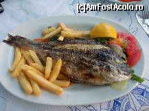 [P05] sea bass proapat (biban de mare)  » foto by FloreS
 - 
<span class="allrVoted glyphicon glyphicon-heart hidden" id="av360232"></span>
<a class="m-l-10 hidden" id="sv360232" onclick="voting_Foto_DelVot(,360232,22298)" role="button">șterge vot <span class="glyphicon glyphicon-remove"></span></a>
<a id="v9360232" class=" c-red"  onclick="voting_Foto_SetVot(360232)" role="button"><span class="glyphicon glyphicon-heart-empty"></span> <b>LIKE</b> = Votează poza</a> <img class="hidden"  id="f360232W9" src="/imagini/loader.gif" border="0" /><span class="AjErrMes hidden" id="e360232ErM"></span>