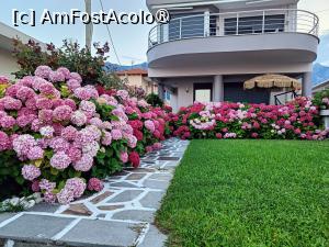 [P17] O splendoare florală... » foto by tata123 🔱
 - 
<span class="allrVoted glyphicon glyphicon-heart hidden" id="av1536414"></span>
<a class="m-l-10 hidden" id="sv1536414" onclick="voting_Foto_DelVot(,1536414,22302)" role="button">șterge vot <span class="glyphicon glyphicon-remove"></span></a>
<a id="v91536414" class=" c-red"  onclick="voting_Foto_SetVot(1536414)" role="button"><span class="glyphicon glyphicon-heart-empty"></span> <b>LIKE</b> = Votează poza</a> <img class="hidden"  id="f1536414W9" src="/imagini/loader.gif" border="0" /><span class="AjErrMes hidden" id="e1536414ErM"></span>