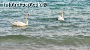 [P09] Plaja Koukounaries, Skiathos » foto by vlado2
 - 
<span class="allrVoted glyphicon glyphicon-heart hidden" id="av1522083"></span>
<a class="m-l-10 hidden" id="sv1522083" onclick="voting_Foto_DelVot(,1522083,22413)" role="button">șterge vot <span class="glyphicon glyphicon-remove"></span></a>
<a id="v91522083" class=" c-red"  onclick="voting_Foto_SetVot(1522083)" role="button"><span class="glyphicon glyphicon-heart-empty"></span> <b>LIKE</b> = Votează poza</a> <img class="hidden"  id="f1522083W9" src="/imagini/loader.gif" border="0" /><span class="AjErrMes hidden" id="e1522083ErM"></span>