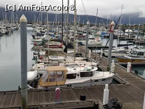 [P33]  -- <small>// FĂRĂ DESCRIERE</small> » foto by robert
 - 
<span class="allrVoted glyphicon glyphicon-heart hidden" id="av1510578"></span>
<a class="m-l-10 hidden" id="sv1510578" onclick="voting_Foto_DelVot(,1510578,22462)" role="button">șterge vot <span class="glyphicon glyphicon-remove"></span></a>
<a id="v91510578" class=" c-red"  onclick="voting_Foto_SetVot(1510578)" role="button"><span class="glyphicon glyphicon-heart-empty"></span> <b>LIKE</b> = Votează poza</a> <img class="hidden"  id="f1510578W9" src="/imagini/loader.gif" border="0" /><span class="AjErrMes hidden" id="e1510578ErM"></span>