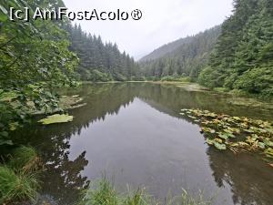 [P49] traseul prin pădure » foto by robert
 - 
<span class="allrVoted glyphicon glyphicon-heart hidden" id="av1510594"></span>
<a class="m-l-10 hidden" id="sv1510594" onclick="voting_Foto_DelVot(,1510594,22462)" role="button">șterge vot <span class="glyphicon glyphicon-remove"></span></a>
<a id="v91510594" class=" c-red"  onclick="voting_Foto_SetVot(1510594)" role="button"><span class="glyphicon glyphicon-heart-empty"></span> <b>LIKE</b> = Votează poza</a> <img class="hidden"  id="f1510594W9" src="/imagini/loader.gif" border="0" /><span class="AjErrMes hidden" id="e1510594ErM"></span>