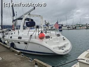 [P52] vase de prin port » foto by robert
 - 
<span class="allrVoted glyphicon glyphicon-heart hidden" id="av1510597"></span>
<a class="m-l-10 hidden" id="sv1510597" onclick="voting_Foto_DelVot(,1510597,22462)" role="button">șterge vot <span class="glyphicon glyphicon-remove"></span></a>
<a id="v91510597" class=" c-red"  onclick="voting_Foto_SetVot(1510597)" role="button"><span class="glyphicon glyphicon-heart-empty"></span> <b>LIKE</b> = Votează poza</a> <img class="hidden"  id="f1510597W9" src="/imagini/loader.gif" border="0" /><span class="AjErrMes hidden" id="e1510597ErM"></span>