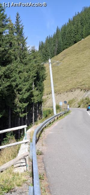 [P17] Transrarau - Drumul Comorilor, popas la punctul de belvedere. » foto by iulianic
 - 
<span class="allrVoted glyphicon glyphicon-heart hidden" id="av1543552"></span>
<a class="m-l-10 hidden" id="sv1543552" onclick="voting_Foto_DelVot(,1543552,22474)" role="button">șterge vot <span class="glyphicon glyphicon-remove"></span></a>
<a id="v91543552" class=" c-red"  onclick="voting_Foto_SetVot(1543552)" role="button"><span class="glyphicon glyphicon-heart-empty"></span> <b>LIKE</b> = Votează poza</a> <img class="hidden"  id="f1543552W9" src="/imagini/loader.gif" border="0" /><span class="AjErrMes hidden" id="e1543552ErM"></span>