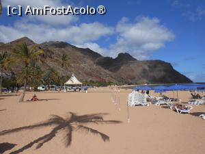 [P18] Tenerife - Playa de Las Teresitas.  » foto by iulianic
 - 
<span class="allrVoted glyphicon glyphicon-heart hidden" id="av1438101"></span>
<a class="m-l-10 hidden" id="sv1438101" onclick="voting_Foto_DelVot(,1438101,22792)" role="button">șterge vot <span class="glyphicon glyphicon-remove"></span></a>
<a id="v91438101" class=" c-red"  onclick="voting_Foto_SetVot(1438101)" role="button"><span class="glyphicon glyphicon-heart-empty"></span> <b>LIKE</b> = Votează poza</a> <img class="hidden"  id="f1438101W9" src="/imagini/loader.gif" border="0" /><span class="AjErrMes hidden" id="e1438101ErM"></span>