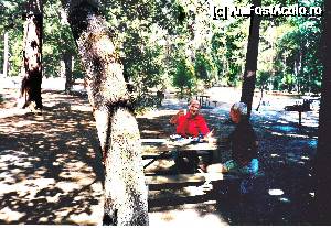 [P18] O bere în Yosemite Park, zona „visitors”- California » foto by Dan-Ioan
 - 
<span class="allrVoted glyphicon glyphicon-heart hidden" id="av691038"></span>
<a class="m-l-10 hidden" id="sv691038" onclick="voting_Foto_DelVot(,691038,22851)" role="button">șterge vot <span class="glyphicon glyphicon-remove"></span></a>
<a id="v9691038" class=" c-red"  onclick="voting_Foto_SetVot(691038)" role="button"><span class="glyphicon glyphicon-heart-empty"></span> <b>LIKE</b> = Votează poza</a> <img class="hidden"  id="f691038W9" src="/imagini/loader.gif" border="0" /><span class="AjErrMes hidden" id="e691038ErM"></span>