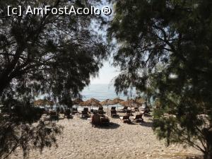 [P09] O vedere printre ramuri... Pytagorio beach.  » foto by maryka
 - 
<span class="allrVoted glyphicon glyphicon-heart hidden" id="av913574"></span>
<a class="m-l-10 hidden" id="sv913574" onclick="voting_Foto_DelVot(,913574,22897)" role="button">șterge vot <span class="glyphicon glyphicon-remove"></span></a>
<a id="v9913574" class=" c-red"  onclick="voting_Foto_SetVot(913574)" role="button"><span class="glyphicon glyphicon-heart-empty"></span> <b>LIKE</b> = Votează poza</a> <img class="hidden"  id="f913574W9" src="/imagini/loader.gif" border="0" /><span class="AjErrMes hidden" id="e913574ErM"></span>