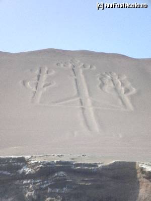 [P23] inca o imagine cu el, mult mai aproape, in varful celor 3 brate, parca ai imaginea unor cactusi » foto by grecudoina
 - 
<span class="allrVoted glyphicon glyphicon-heart hidden" id="av398968"></span>
<a class="m-l-10 hidden" id="sv398968" onclick="voting_Foto_DelVot(,398968,22927)" role="button">șterge vot <span class="glyphicon glyphicon-remove"></span></a>
<a id="v9398968" class=" c-red"  onclick="voting_Foto_SetVot(398968)" role="button"><span class="glyphicon glyphicon-heart-empty"></span> <b>LIKE</b> = Votează poza</a> <img class="hidden"  id="f398968W9" src="/imagini/loader.gif" border="0" /><span class="AjErrMes hidden" id="e398968ErM"></span>