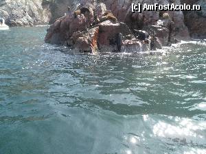 [P42] dupa o baie buna, stam la soare » foto by grecudoina
 - 
<span class="allrVoted glyphicon glyphicon-heart hidden" id="av398987"></span>
<a class="m-l-10 hidden" id="sv398987" onclick="voting_Foto_DelVot(,398987,22927)" role="button">șterge vot <span class="glyphicon glyphicon-remove"></span></a>
<a id="v9398987" class=" c-red"  onclick="voting_Foto_SetVot(398987)" role="button"><span class="glyphicon glyphicon-heart-empty"></span> <b>LIKE</b> = Votează poza</a> <img class="hidden"  id="f398987W9" src="/imagini/loader.gif" border="0" /><span class="AjErrMes hidden" id="e398987ErM"></span>