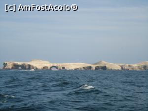 [P05] minunatele Islas Ballestas » foto by buterfly*
 - 
<span class="allrVoted glyphicon glyphicon-heart hidden" id="av813583"></span>
<a class="m-l-10 hidden" id="sv813583" onclick="voting_Foto_DelVot(,813583,22927)" role="button">șterge vot <span class="glyphicon glyphicon-remove"></span></a>
<a id="v9813583" class=" c-red"  onclick="voting_Foto_SetVot(813583)" role="button"><span class="glyphicon glyphicon-heart-empty"></span> <b>LIKE</b> = Votează poza</a> <img class="hidden"  id="f813583W9" src="/imagini/loader.gif" border="0" /><span class="AjErrMes hidden" id="e813583ErM"></span>