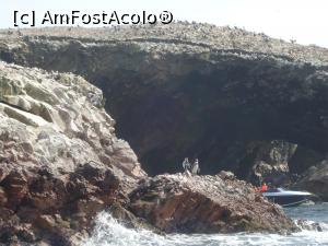 [P08] doi pinguini se odihnesc pe o piatra » foto by buterfly*
 - 
<span class="allrVoted glyphicon glyphicon-heart hidden" id="av813586"></span>
<a class="m-l-10 hidden" id="sv813586" onclick="voting_Foto_DelVot(,813586,22927)" role="button">șterge vot <span class="glyphicon glyphicon-remove"></span></a>
<a id="v9813586" class=" c-red"  onclick="voting_Foto_SetVot(813586)" role="button"><span class="glyphicon glyphicon-heart-empty"></span> <b>LIKE</b> = Votează poza</a> <img class="hidden"  id="f813586W9" src="/imagini/loader.gif" border="0" /><span class="AjErrMes hidden" id="e813586ErM"></span>