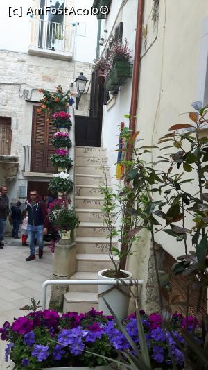 P13 [MAR-2016] Dedicații pe treptele scărilor din orașul vechi. Și flori. Multe, multe flori. 