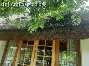 [P19] Pensiunea „Casa din Luncă” » foto by adso
 - 
<span class="allrVoted glyphicon glyphicon-heart hidden" id="av1533454"></span>
<a class="m-l-10 hidden" id="sv1533454" onclick="voting_Foto_DelVot(,1533454,22969)" role="button">șterge vot <span class="glyphicon glyphicon-remove"></span></a>
<a id="v91533454" class=" c-red"  onclick="voting_Foto_SetVot(1533454)" role="button"><span class="glyphicon glyphicon-heart-empty"></span> <b>LIKE</b> = Votează poza</a> <img class="hidden"  id="f1533454W9" src="/imagini/loader.gif" border="0" /><span class="AjErrMes hidden" id="e1533454ErM"></span>