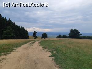 [P02] Drumul de creastă, în partea de nord-est a dealului. Eu am urcat de pe dreapta, pe undeva dincolo de spațiul dintre lizieră și primul pin izolat, situat la stânga. » foto by Qvadratvus
 - 
<span class="allrVoted glyphicon glyphicon-heart hidden" id="av1251171"></span>
<a class="m-l-10 hidden" id="sv1251171" onclick="voting_Foto_DelVot(,1251171,23063)" role="button">șterge vot <span class="glyphicon glyphicon-remove"></span></a>
<a id="v91251171" class=" c-red"  onclick="voting_Foto_SetVot(1251171)" role="button"><span class="glyphicon glyphicon-heart-empty"></span> <b>LIKE</b> = Votează poza</a> <img class="hidden"  id="f1251171W9" src="/imagini/loader.gif" border="0" /><span class="AjErrMes hidden" id="e1251171ErM"></span>