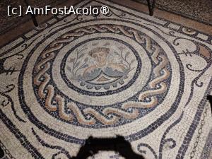 [P55] Biblioteca Ambrosiană » foto by crismis
 - 
<span class="allrVoted glyphicon glyphicon-heart hidden" id="av1486104"></span>
<a class="m-l-10 hidden" id="sv1486104" onclick="voting_Foto_DelVot(,1486104,23064)" role="button">șterge vot <span class="glyphicon glyphicon-remove"></span></a>
<a id="v91486104" class=" c-red"  onclick="voting_Foto_SetVot(1486104)" role="button"><span class="glyphicon glyphicon-heart-empty"></span> <b>LIKE</b> = Votează poza</a> <img class="hidden"  id="f1486104W9" src="/imagini/loader.gif" border="0" /><span class="AjErrMes hidden" id="e1486104ErM"></span>