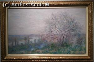 [P05] Claude Monet - Peisaj de primavara langa Vetheuil. Generoasa doamna care a donat tabloul a dorit sa ramana anonima.  » foto by Radu Tudoran
 - 
<span class="allrVoted glyphicon glyphicon-heart hidden" id="av930689"></span>
<a class="m-l-10 hidden" id="sv930689" onclick="voting_Foto_DelVot(,930689,23235)" role="button">șterge vot <span class="glyphicon glyphicon-remove"></span></a>
<a id="v9930689" class=" c-red"  onclick="voting_Foto_SetVot(930689)" role="button"><span class="glyphicon glyphicon-heart-empty"></span> <b>LIKE</b> = Votează poza</a> <img class="hidden"  id="f930689W9" src="/imagini/loader.gif" border="0" /><span class="AjErrMes hidden" id="e930689ErM"></span>