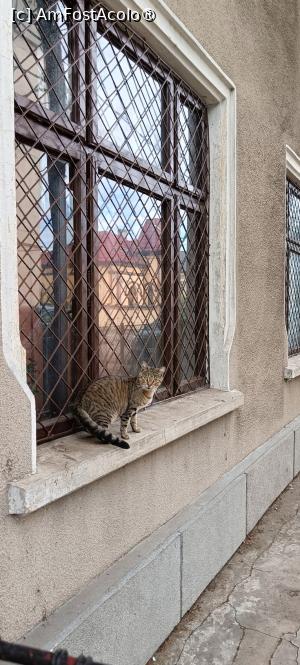 [P05] Un vizitator neașteptat... » foto by tata123 🔱
 - 
<span class="allrVoted glyphicon glyphicon-heart hidden" id="av1469031"></span>
<a class="m-l-10 hidden" id="sv1469031" onclick="voting_Foto_DelVot(,1469031,23239)" role="button">șterge vot <span class="glyphicon glyphicon-remove"></span></a>
<a id="v91469031" class=" c-red"  onclick="voting_Foto_SetVot(1469031)" role="button"><span class="glyphicon glyphicon-heart-empty"></span> <b>LIKE</b> = Votează poza</a> <img class="hidden"  id="f1469031W9" src="/imagini/loader.gif" border="0" /><span class="AjErrMes hidden" id="e1469031ErM"></span>