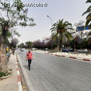 [P07] Tunis, Mergem spre Muzeul Bardo » foto by mprofeanu
 - 
<span class="allrVoted glyphicon glyphicon-heart hidden" id="av1438686"></span>
<a class="m-l-10 hidden" id="sv1438686" onclick="voting_Foto_DelVot(,1438686,23260)" role="button">șterge vot <span class="glyphicon glyphicon-remove"></span></a>
<a id="v91438686" class=" c-red"  onclick="voting_Foto_SetVot(1438686)" role="button"><span class="glyphicon glyphicon-heart-empty"></span> <b>LIKE</b> = Votează poza</a> <img class="hidden"  id="f1438686W9" src="/imagini/loader.gif" border="0" /><span class="AjErrMes hidden" id="e1438686ErM"></span>