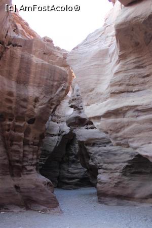 P21 [FEB-2020] Red Canyon, Traseul verde începe să se lărgească