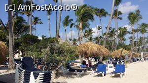 P23 [OCT-2015] Un vis împlinit - Republica Dominicană -şezlonguri la discreţie pe plaja hotelului
