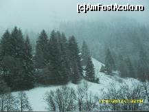 [P72]  -- <small>// FĂRĂ DESCRIERE</small> » foto by adryana
 - 
<span class="allrVoted glyphicon glyphicon-heart hidden" id="av318054"></span>
<a class="m-l-10 hidden" id="sv318054" onclick="voting_Foto_DelVot(,318054,23568)" role="button">șterge vot <span class="glyphicon glyphicon-remove"></span></a>
<a id="v9318054" class=" c-red"  onclick="voting_Foto_SetVot(318054)" role="button"><span class="glyphicon glyphicon-heart-empty"></span> <b>LIKE</b> = Votează poza</a> <img class="hidden"  id="f318054W9" src="/imagini/loader.gif" border="0" /><span class="AjErrMes hidden" id="e318054ErM"></span>