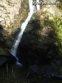 [P01] cascada Lotrișor, aproape toată » foto by vanda
 - 
<span class="allrVoted glyphicon glyphicon-heart hidden" id="av342789"></span>
<a class="m-l-10 hidden" id="sv342789" onclick="voting_Foto_DelVot(,342789,23593)" role="button">șterge vot <span class="glyphicon glyphicon-remove"></span></a>
<a id="v9342789" class=" c-red"  onclick="voting_Foto_SetVot(342789)" role="button"><span class="glyphicon glyphicon-heart-empty"></span> <b>LIKE</b> = Votează poza</a> <img class="hidden"  id="f342789W9" src="/imagini/loader.gif" border="0" /><span class="AjErrMes hidden" id="e342789ErM"></span>