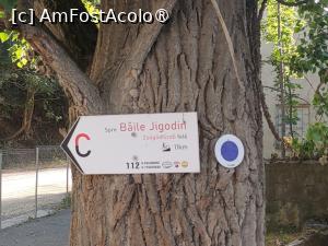 [P03] Traseu turistic » foto by FrancescaClara
 - 
<span class="allrVoted glyphicon glyphicon-heart hidden" id="av1492189"></span>
<a class="m-l-10 hidden" id="sv1492189" onclick="voting_Foto_DelVot(,1492189,23603)" role="button">șterge vot <span class="glyphicon glyphicon-remove"></span></a>
<a id="v91492189" class=" c-red"  onclick="voting_Foto_SetVot(1492189)" role="button"><span class="glyphicon glyphicon-heart-empty"></span> <b>LIKE</b> = Votează poza</a> <img class="hidden"  id="f1492189W9" src="/imagini/loader.gif" border="0" /><span class="AjErrMes hidden" id="e1492189ErM"></span>
