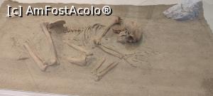 [P07] schelet de om  de 8.000 ani » foto by @urioasa <span class="label label-default labelC_thin small">NEVOTABILĂ</span>