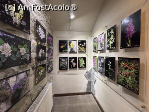 [P29] Muzeul orașului Sinaia,despre flora zonei » foto by AZE
 - 
<span class="allrVoted glyphicon glyphicon-heart hidden" id="av1537148"></span>
<a class="m-l-10 hidden" id="sv1537148" onclick="voting_Foto_DelVot(,1537148,23928)" role="button">șterge vot <span class="glyphicon glyphicon-remove"></span></a>
<a id="v91537148" class=" c-red"  onclick="voting_Foto_SetVot(1537148)" role="button"><span class="glyphicon glyphicon-heart-empty"></span> <b>LIKE</b> = Votează poza</a> <img class="hidden"  id="f1537148W9" src="/imagini/loader.gif" border="0" /><span class="AjErrMes hidden" id="e1537148ErM"></span>