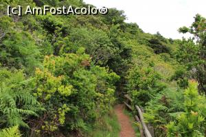 [P36] Insula Terceira, Furnas do Enxofre, prin pădurea de dafini » foto by mprofeanu
 - 
<span class="allrVoted glyphicon glyphicon-heart hidden" id="av995552"></span>
<a class="m-l-10 hidden" id="sv995552" onclick="voting_Foto_DelVot(,995552,23953)" role="button">șterge vot <span class="glyphicon glyphicon-remove"></span></a>
<a id="v9995552" class=" c-red"  onclick="voting_Foto_SetVot(995552)" role="button"><span class="glyphicon glyphicon-heart-empty"></span> <b>LIKE</b> = Votează poza</a> <img class="hidden"  id="f995552W9" src="/imagini/loader.gif" border="0" /><span class="AjErrMes hidden" id="e995552ErM"></span>